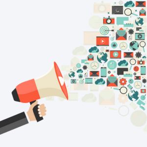 Social Media Management